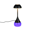 R53851102_4.png