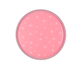 R63581131_8.png