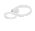 R63601231_2.png