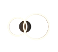 R63601232_1.png