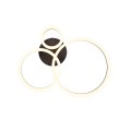 R63601332_1.png