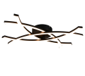 R23691132.png