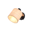 R81851736.png