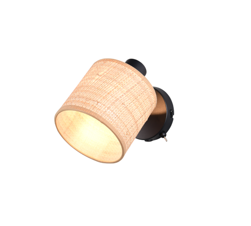 R81851736.png