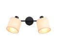 R81852036_1.png