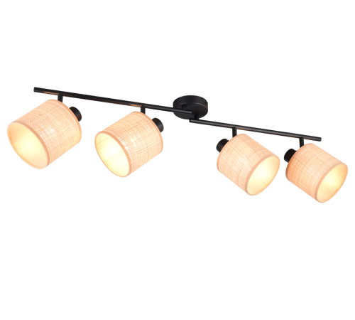 R81854036.png