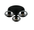 R66643054_2.png