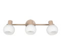 R86373043_3.png