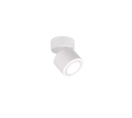 652910131.png