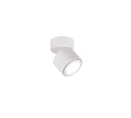 652910131_3.png