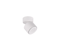 652910131_5.png