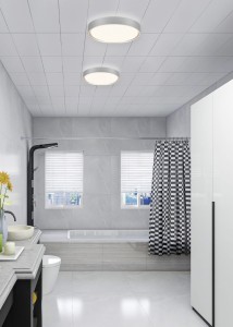 CLARIMO 659011887 plafon łazienkowy tytanowy IP44 LED 18W 3000K