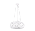 303500331_1.png
