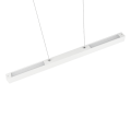 73043131_6.png