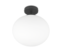 663100132_2.png