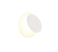 240310131_1.png