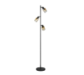 R41783032_3 (2).png