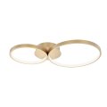SPL-20452-2-GD.jpg