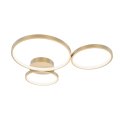 SPL-20452-3-GD.jpg