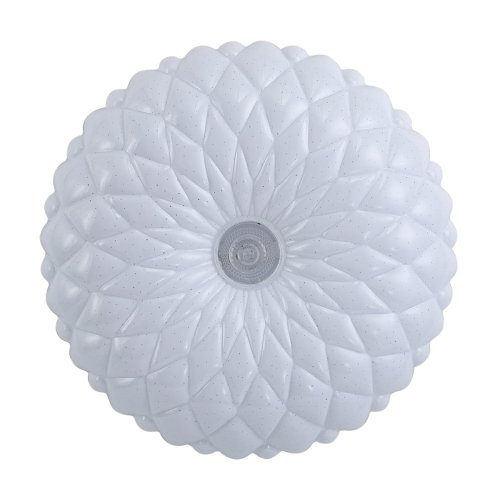 PLF-53749-XL-CL.jpg