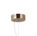 PND-34366-HBR-AMB_x3.jpg