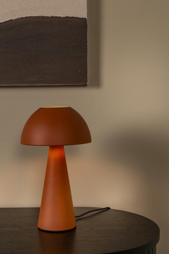65500-01-55 sf1.jpg