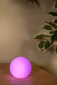 06529-08-31 sf4.webp