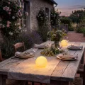 06529-08-31 sfa1.webp
