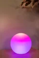 06529-15-31 sf3.webp
