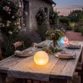 06529-15-31 sfa1.webp