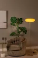 10725-01-41 sf1.webp