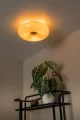 10125-30-41 sf1.webp