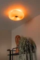 10125-30-53 sf1.webp