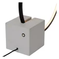 05555-06-30 det2.webp