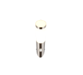 209769107_2.png