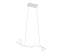 337910231_5.png