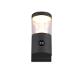238569142_2.png