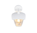 263260131_2.png