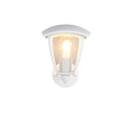 263260231_1.png