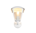 263260231_3.png