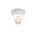 263260331_2.png