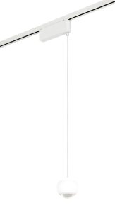 DUOLINE HAMLET lampa wisząca biała kula LED 7W CCT do szyn 2-fazowych TRIO 73440131