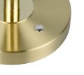 523310908_2.png