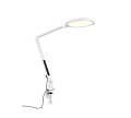 535810131_1.png