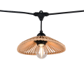 R74771532_2.png