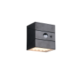 R25119632_1.png