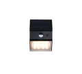 R25119632_2.png