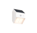 R25119631.png