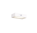 R25129631.png