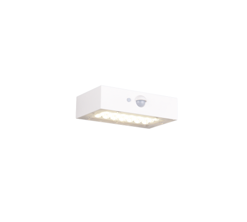 R25129631.png